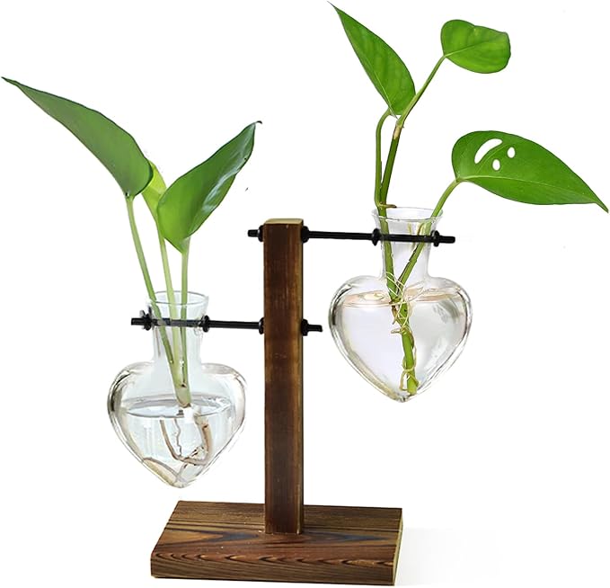XXXFLOWER Plant Terrarium Wooden Stand,
